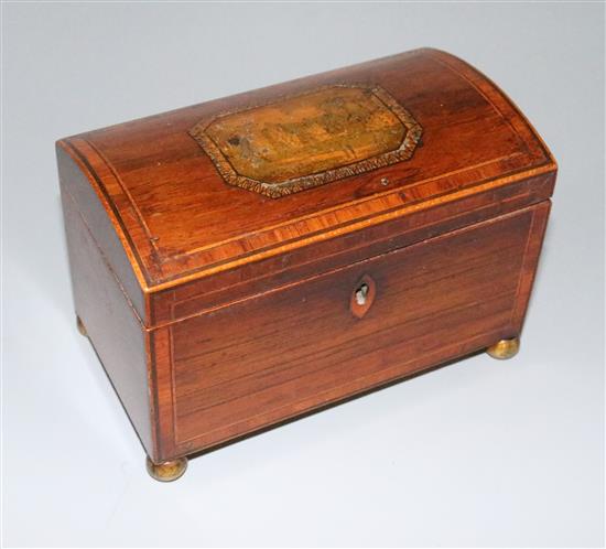 Tunbridgeware rosewood box